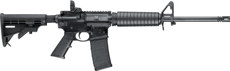 S&W M&P15 SPORT II