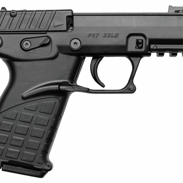 Keltec P17 22 LR